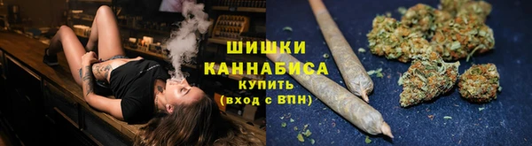 ГАЛЛЮЦИНОГЕННЫЕ ГРИБЫ Алексин