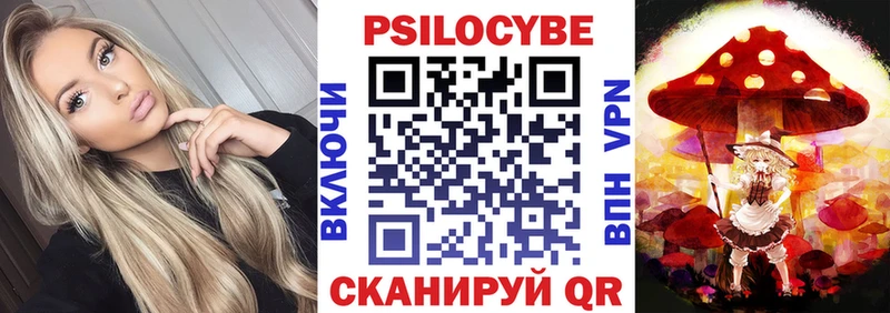 omg   Новоалтайск  Псилоцибиновые грибы GOLDEN TEACHER 